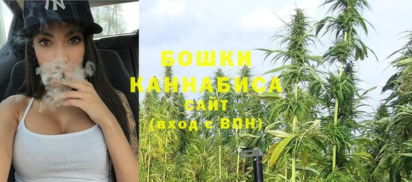 ГАЛЛЮЦИНОГЕННЫЕ ГРИБЫ Гусев