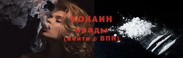 ГАЛЛЮЦИНОГЕННЫЕ ГРИБЫ Гусев