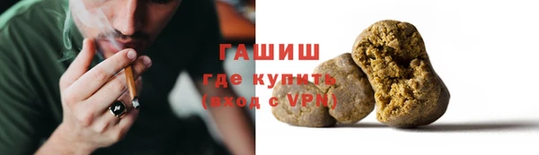 ГАЛЛЮЦИНОГЕННЫЕ ГРИБЫ Гусев