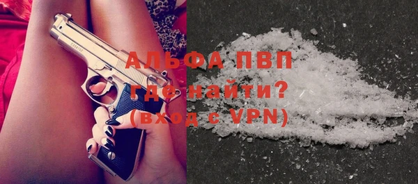 ГАЛЛЮЦИНОГЕННЫЕ ГРИБЫ Гусев