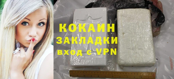 ГАЛЛЮЦИНОГЕННЫЕ ГРИБЫ Гусев