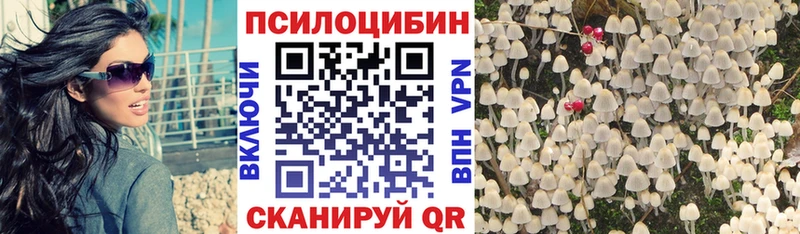 Галлюциногенные грибы MAGIC MUSHROOMS  Купить где  Себеж 